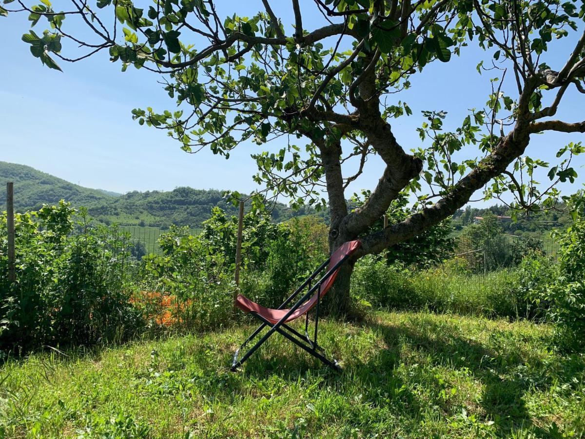 Butterflies Rest Bed and Breakfast Gubbio Esterno foto